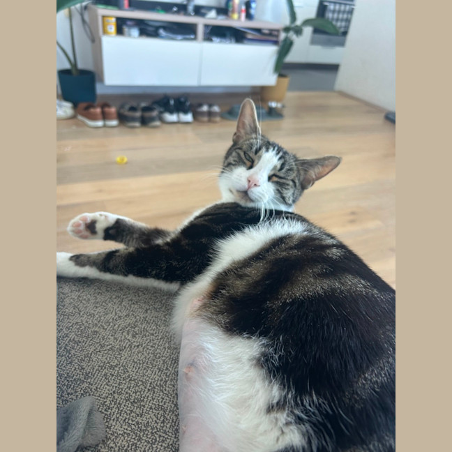 Photo of Blair Waldorf