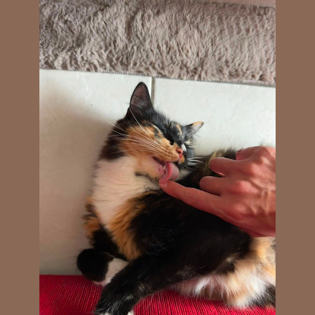 Photo of Willow And Jasper