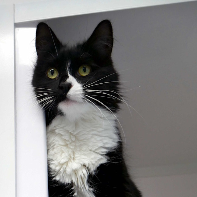 Photo of Luna Rsua011173