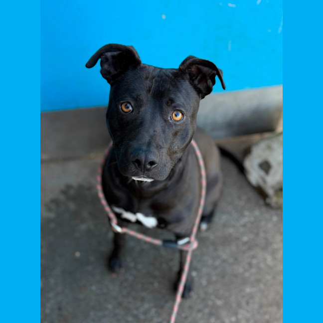 Photo of Storm