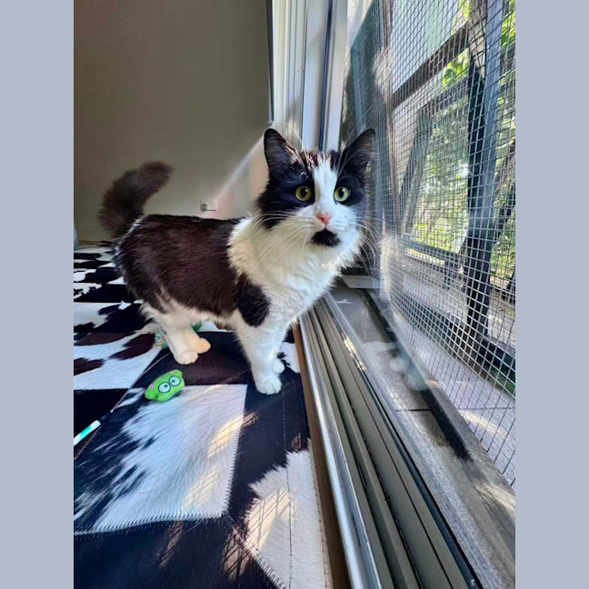 Photo of Milky