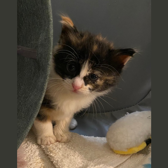 Photo of Hadley Parker