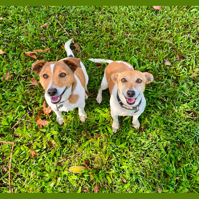 Photo of Arlo