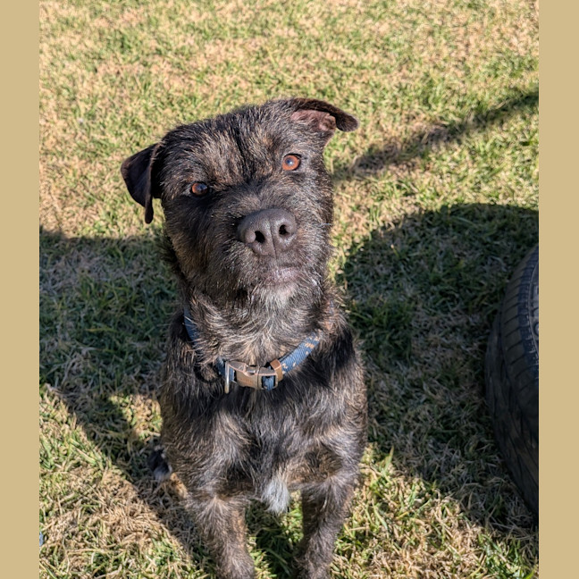 Photo of Roscoe
