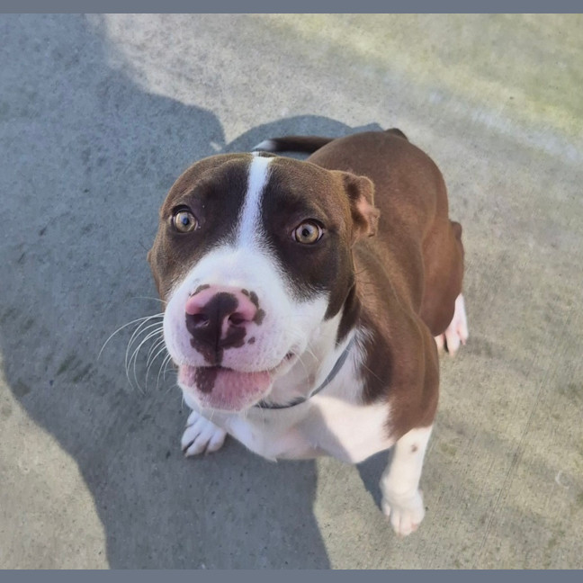 Photo of Cindy (8883)