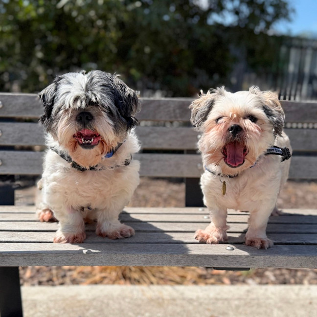 Photo of Milly & Billy