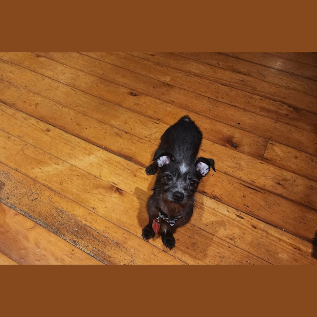 Photo of Chloe 