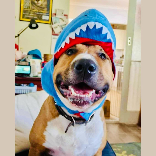 Photo of Billy