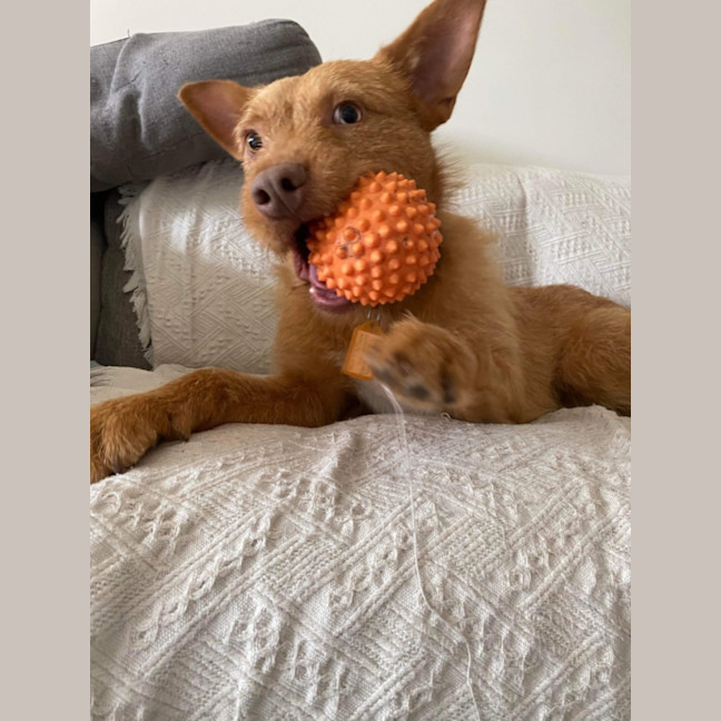 Photo of Harry 