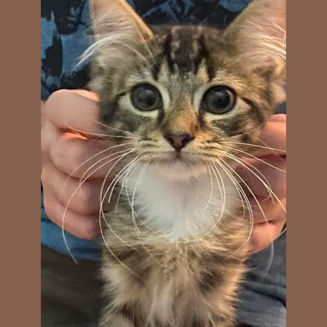 Photo of Ned