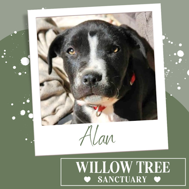 Photo of Alan