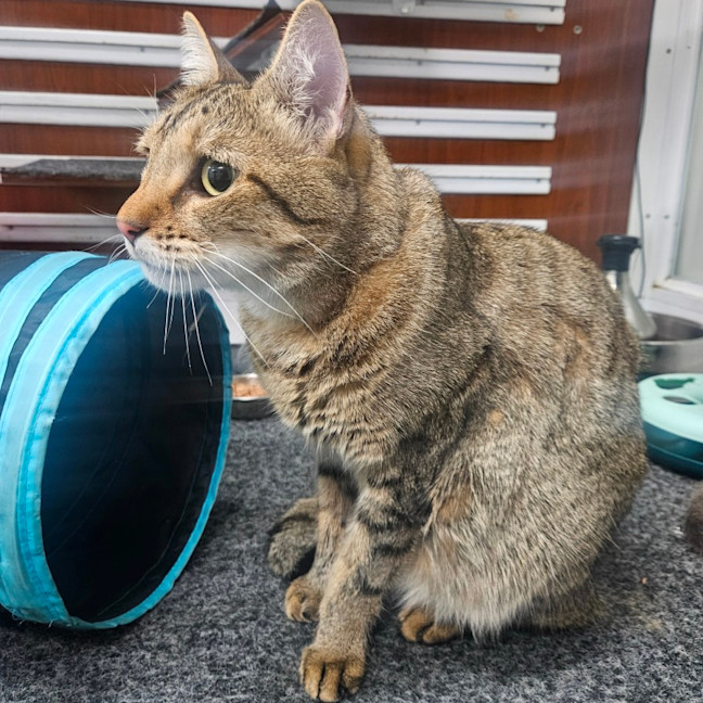 Photo of Marty