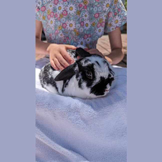 Photo of Amaya Panda