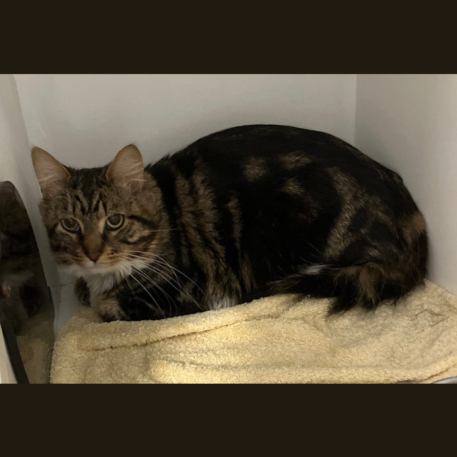 Photo of Jasper