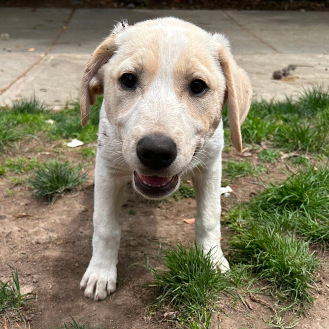 Photo of Finchie