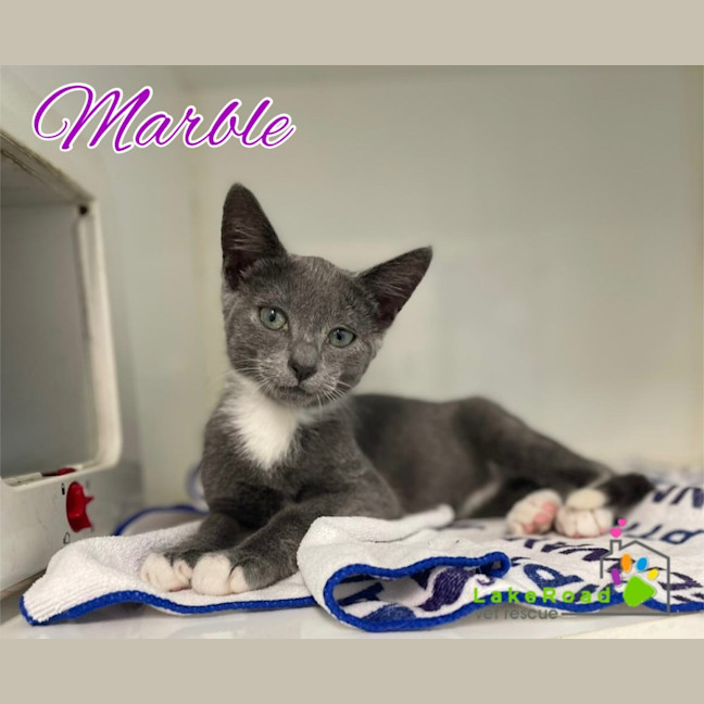 Photo of Marble