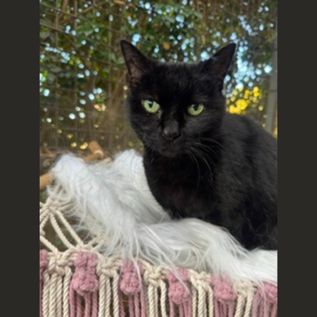 Photo of Molly