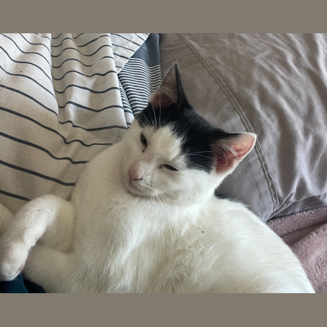 Photo of Scallywag
