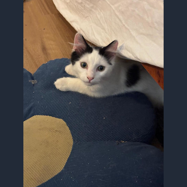 Photo of Hugh And Imogen 