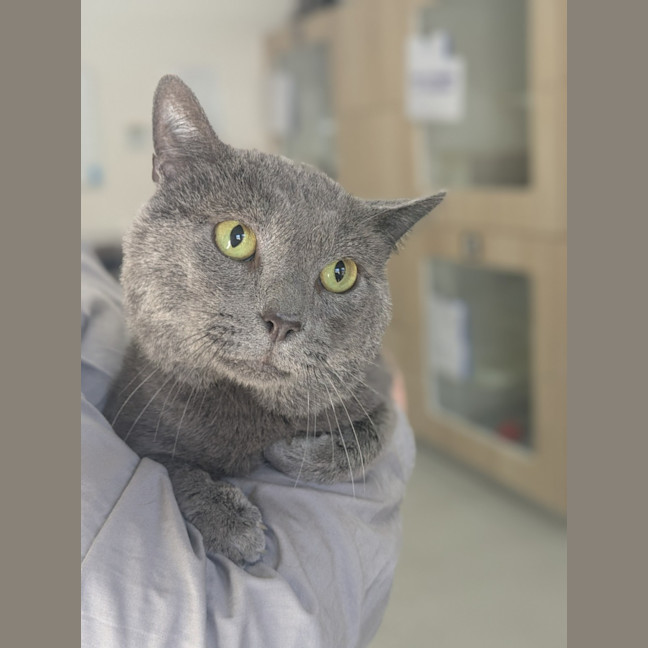 Photo of 👓 Morpheus 5836 👓