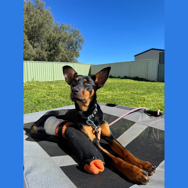 Photo of Oakley