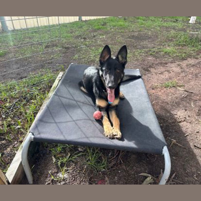 Photo of Coco