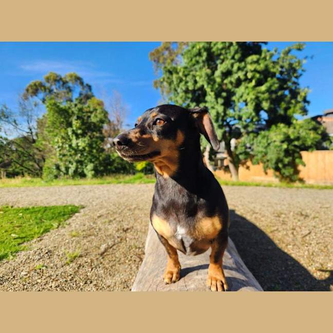 Photo of Pepe Cervantes