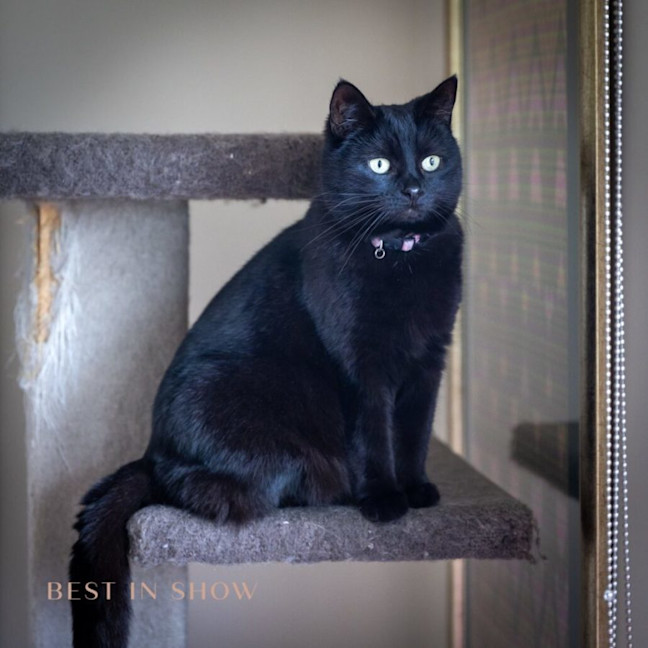 Photo of Luna