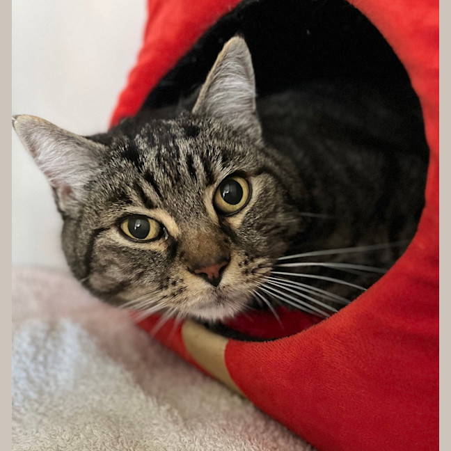 Photo of Jasper