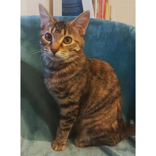 Photo of 11824   Martini