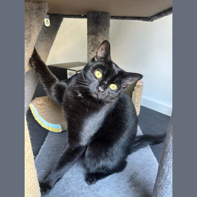 Photo of Giorgio 💙