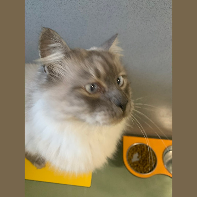 Photo of Riddle