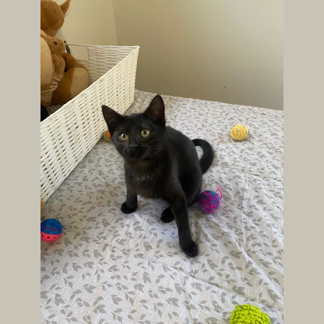 Photo of Wednesday