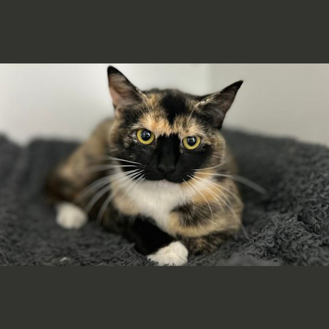 Photo of Valerie