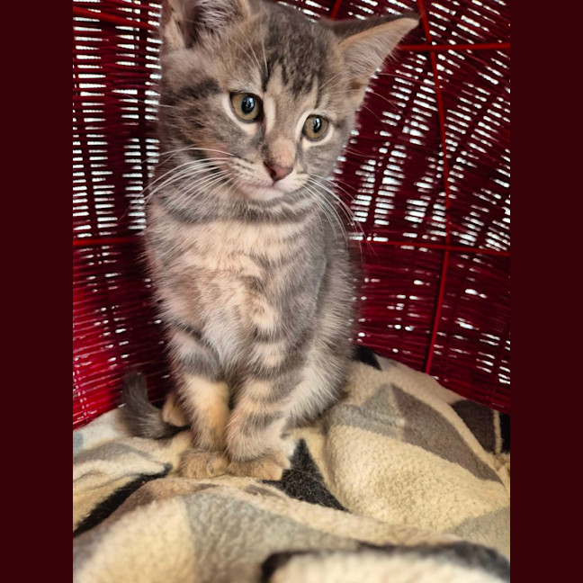 Photo of Loki!