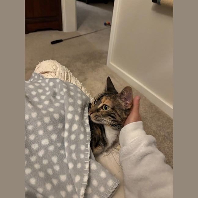 Photo of Luna 