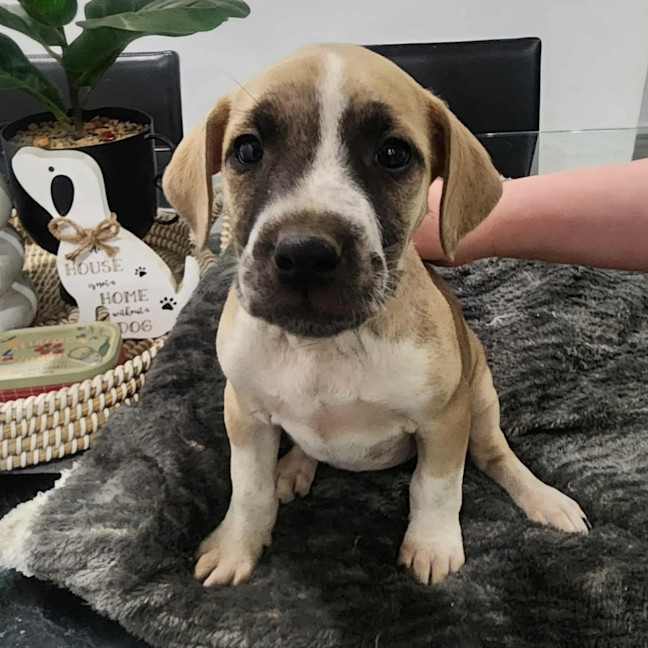 Photo of Epponnee Rae