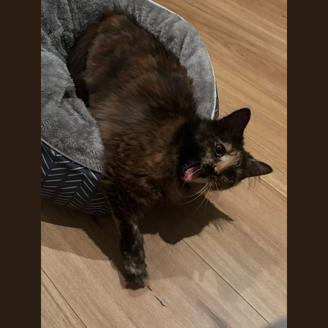 Photo of Soka