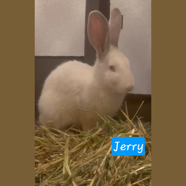 Photo of Jerry