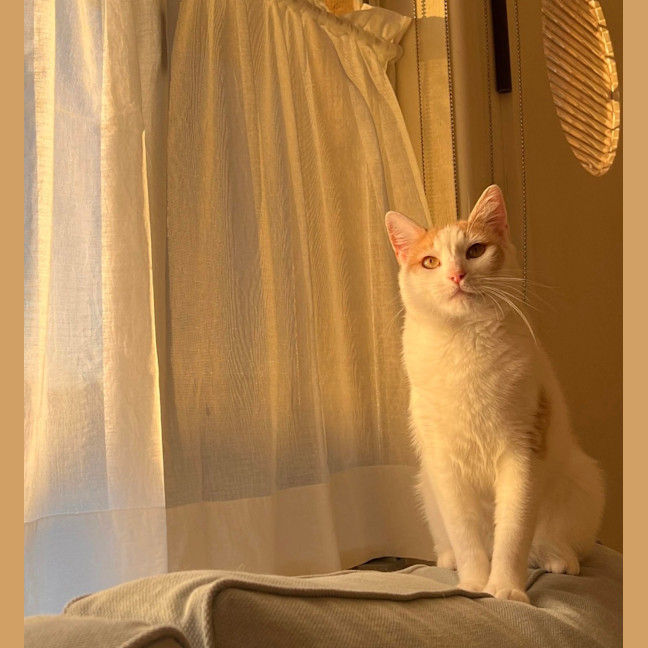 Photo of Rudolf 