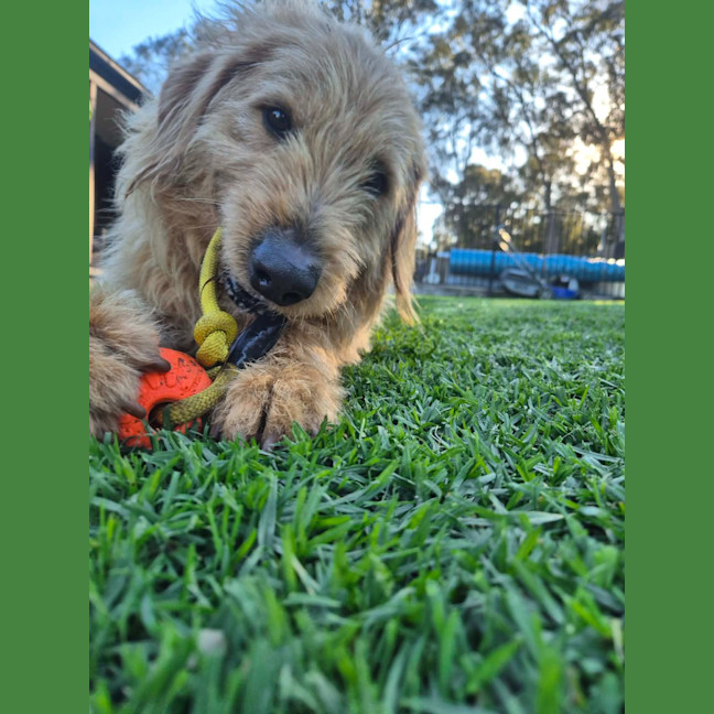 Photo of Charlie
