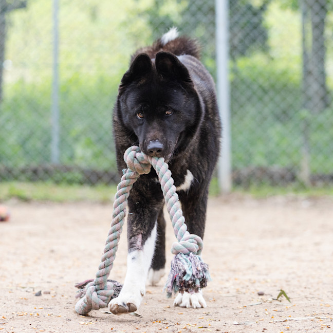 Photo of Kita
