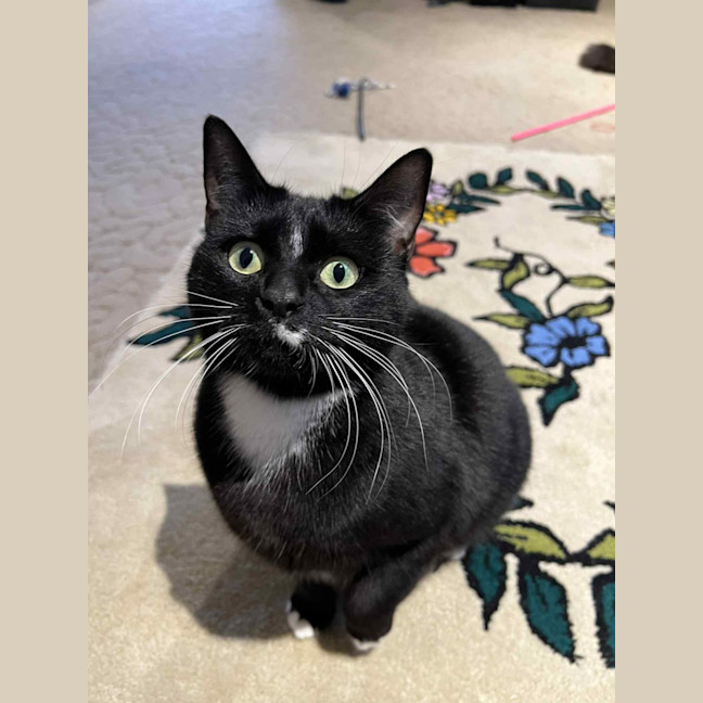 Photo of Betty
