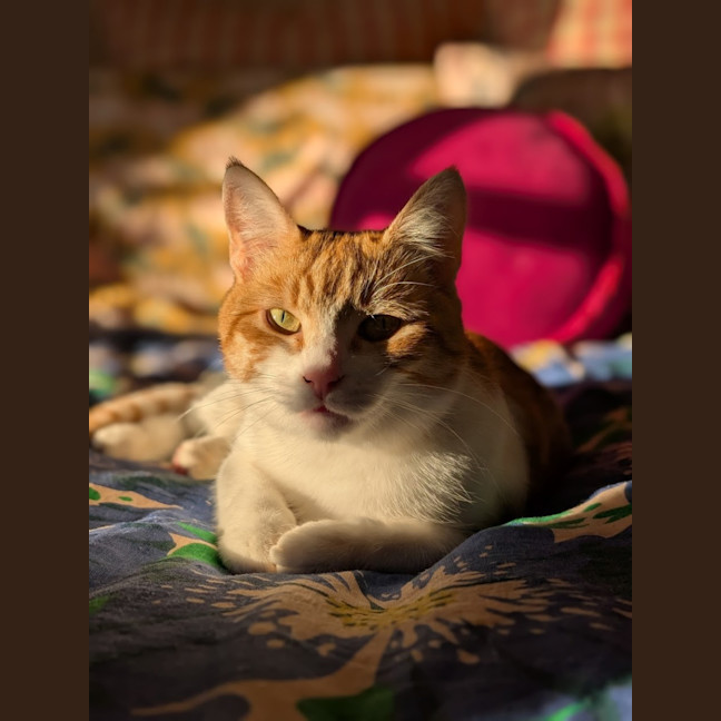 Photo of Charlie 