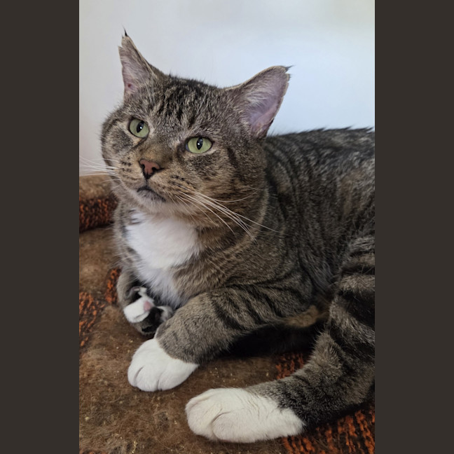 Photo of Lucius Klaassen