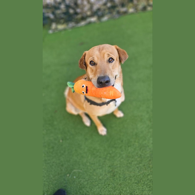 Photo of Ted