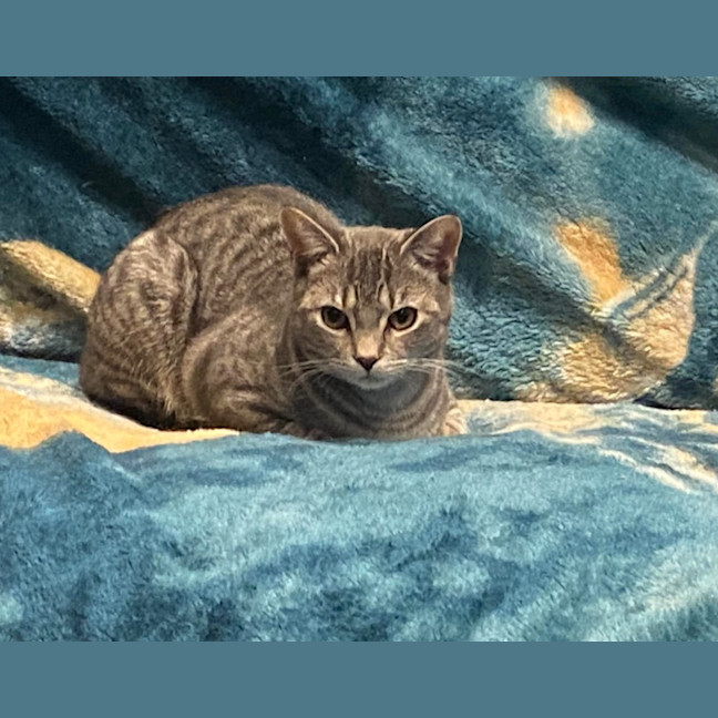 Photo of Ghost