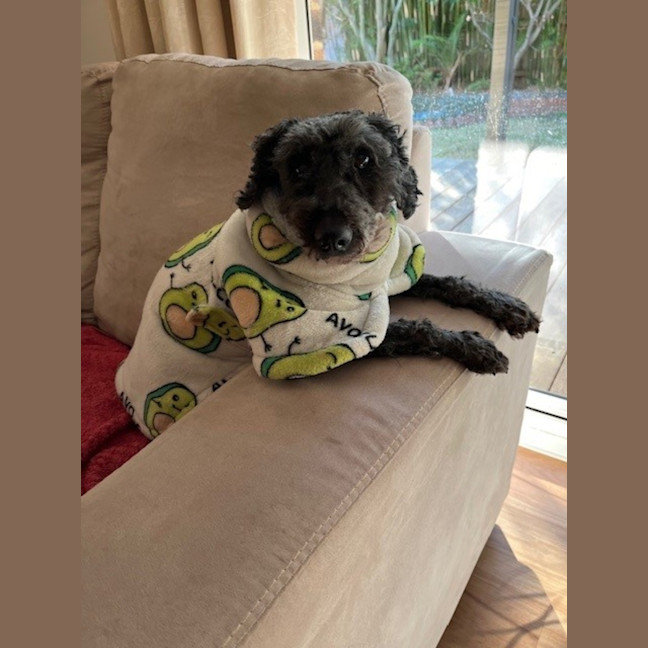 Photo of Greta And George