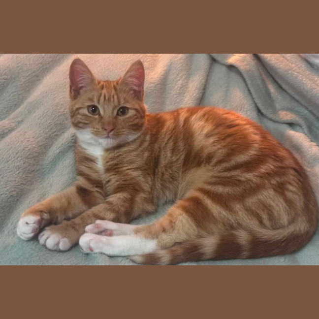 Photo of Bella