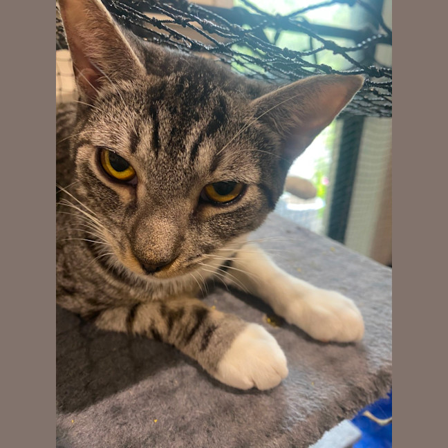 Photo of Leo And Raven❤️